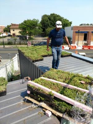 Green-roofs_ Content