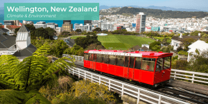 Wellington, New Zealand 1400x700 with theme