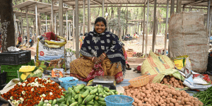 Shanti Mahato, a farmer from a village in the Sundargarh district of Odisha, India who owns three acres of land where she grows seasonal vegetables, such as pumpkins, tomatoes, and okra