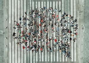Coalition and Collaboration