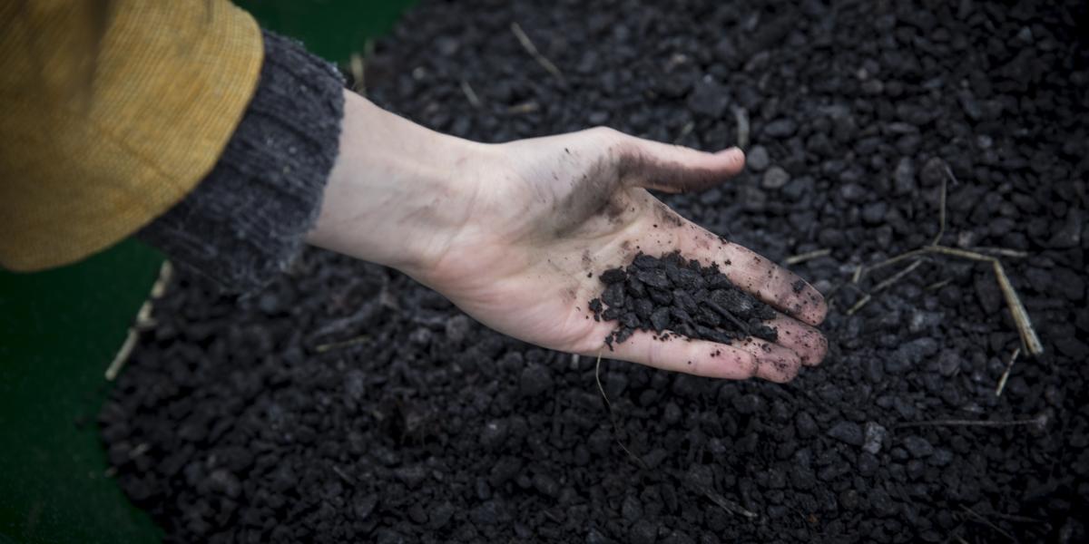 Ready-made biochar. Credit: Casper Hedberg.