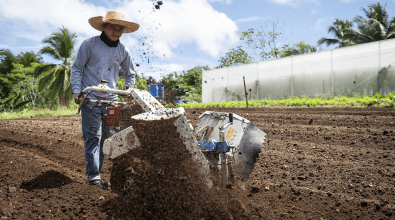 A man in a straw hat plowing a field.